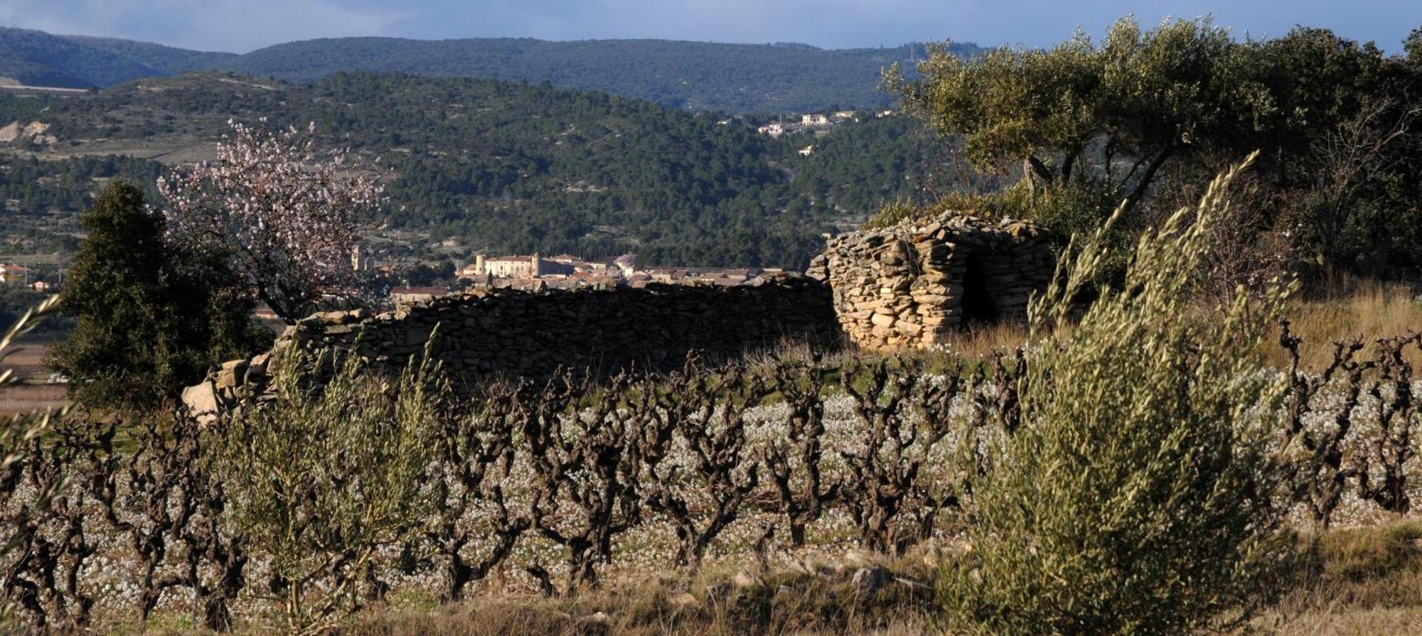 Maison Vigneronne De Bonne Maman - Climatisee Cesseras Экстерьер фото